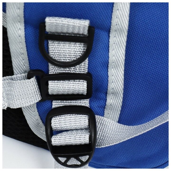 Рюкзак переноска для животных с окном для обзора 310*420*280 мм, синий - фотография № 11