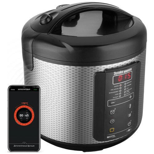 Мультиварка Redmond RMC-M225S черный 683000₽