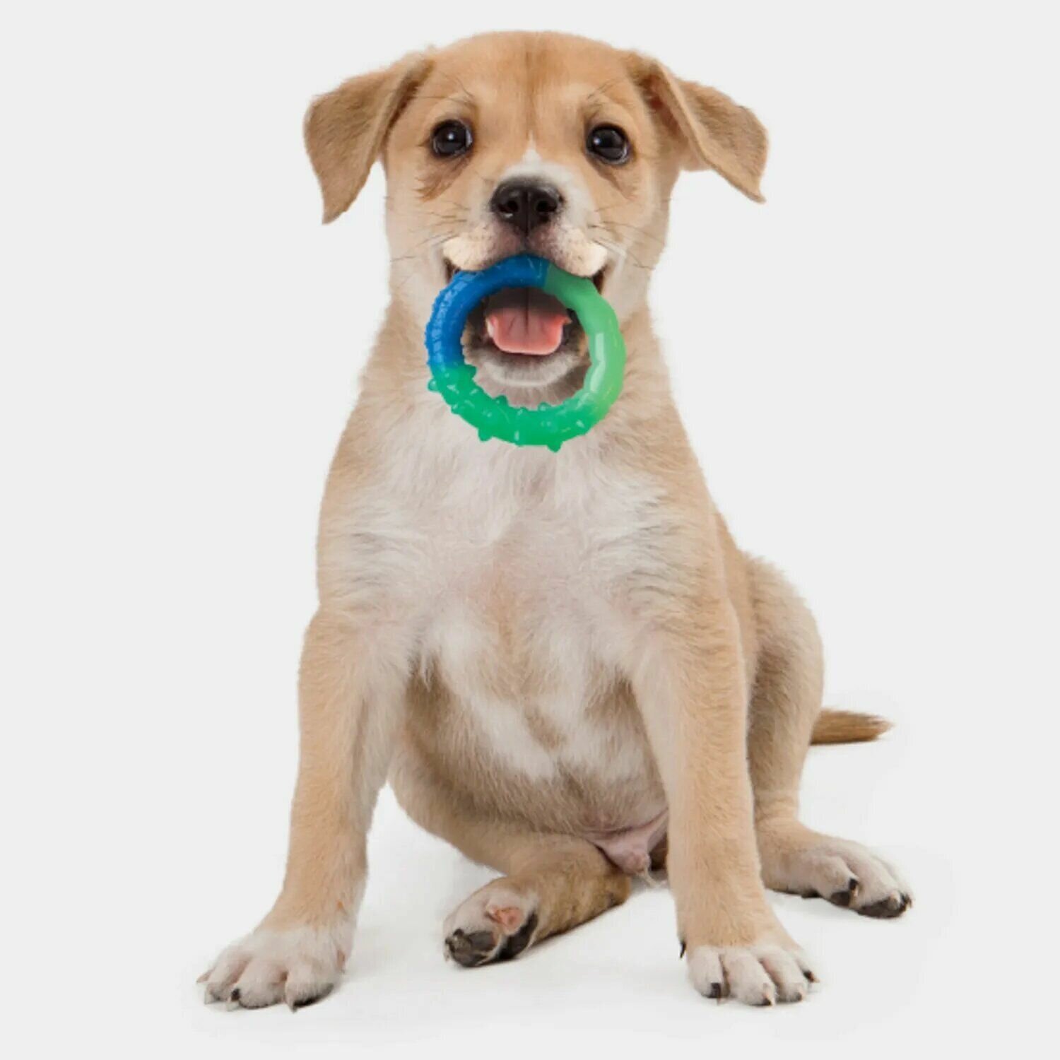 Petstages игрушка для собак орка кольцо - растем вместе мультиповерхность, 15 см (1 шт)