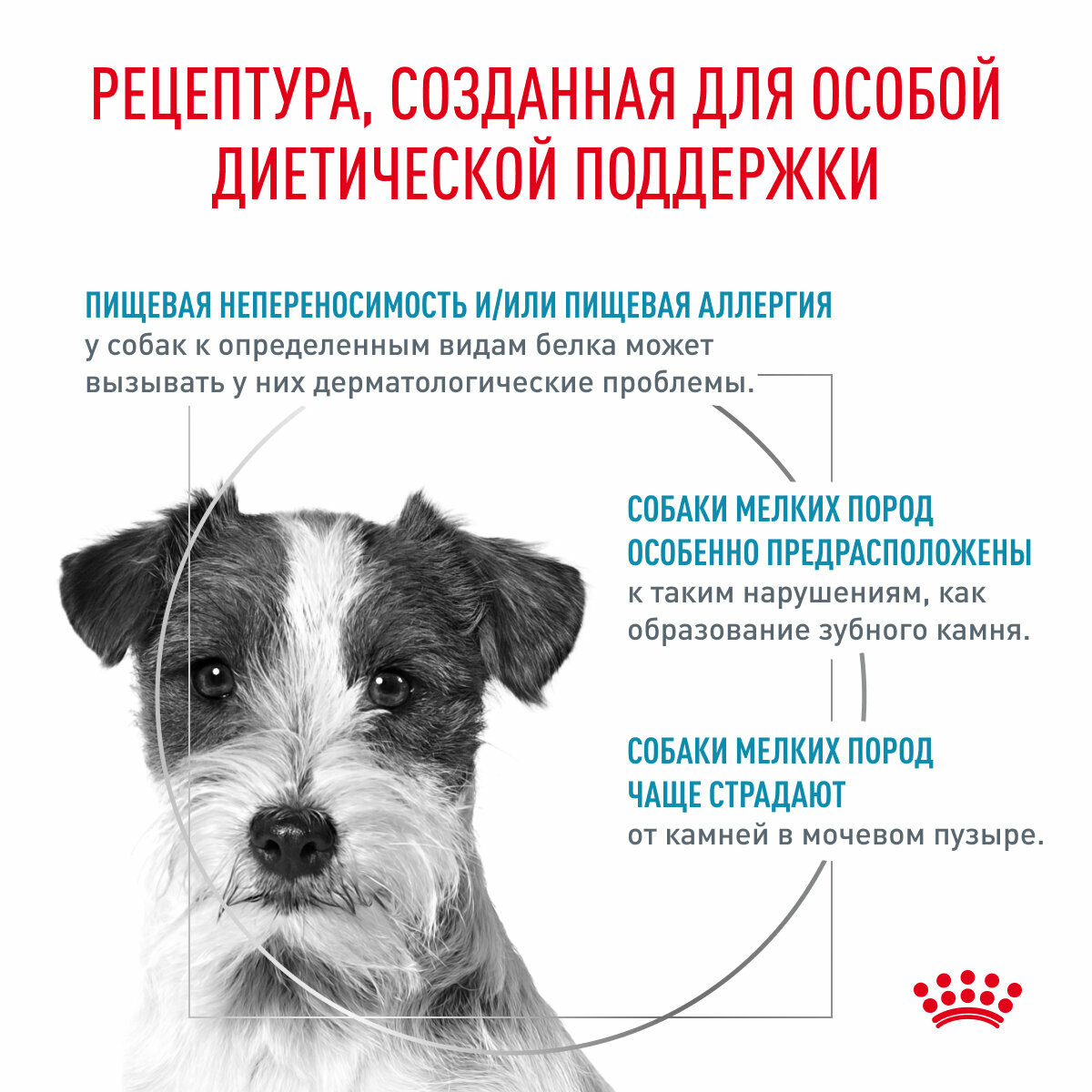 Royal Canin Hypoallergenic Small Dog (Гипоаллердженик Смол Дог) Корм сухой диетический для взрослых собак при пищевой аллергии, 1 кг - фотография № 2