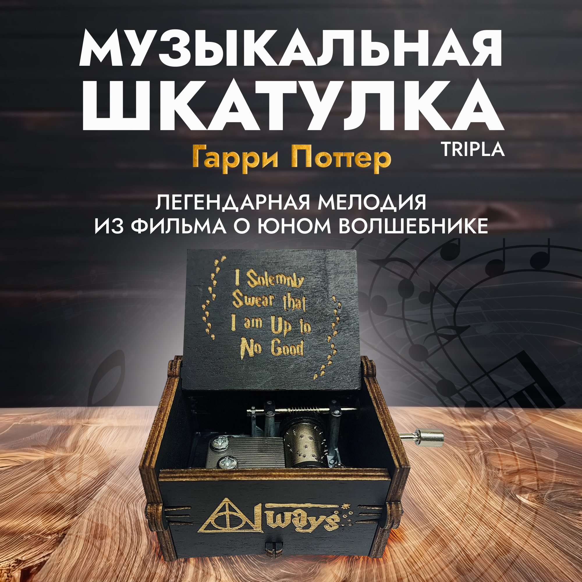 Музыкальная шкатулка Гарри Поттера