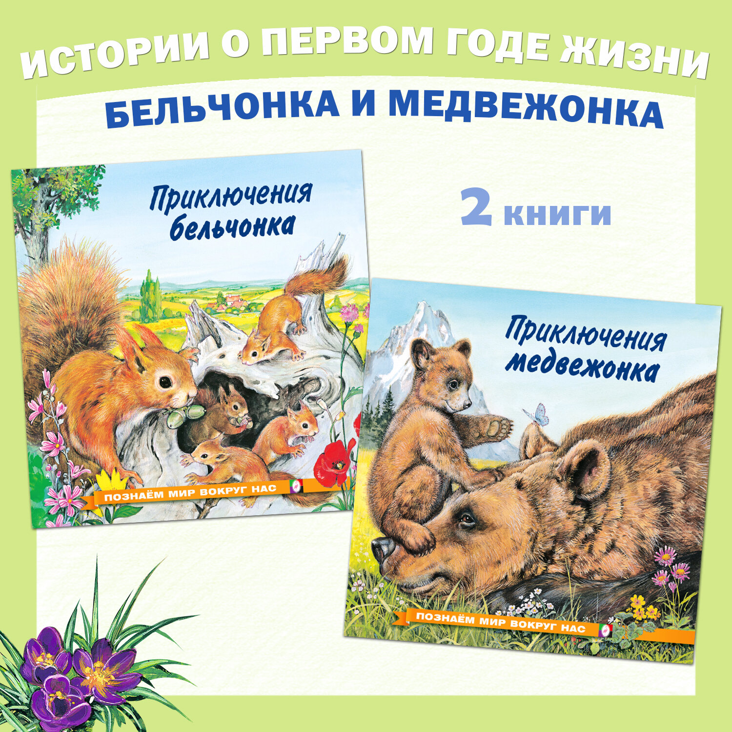 Сказки для детей Издательство Фламинго Познаем мир вокруг нас Комплект из 2 книг Приключения бельчонка и медвежонка