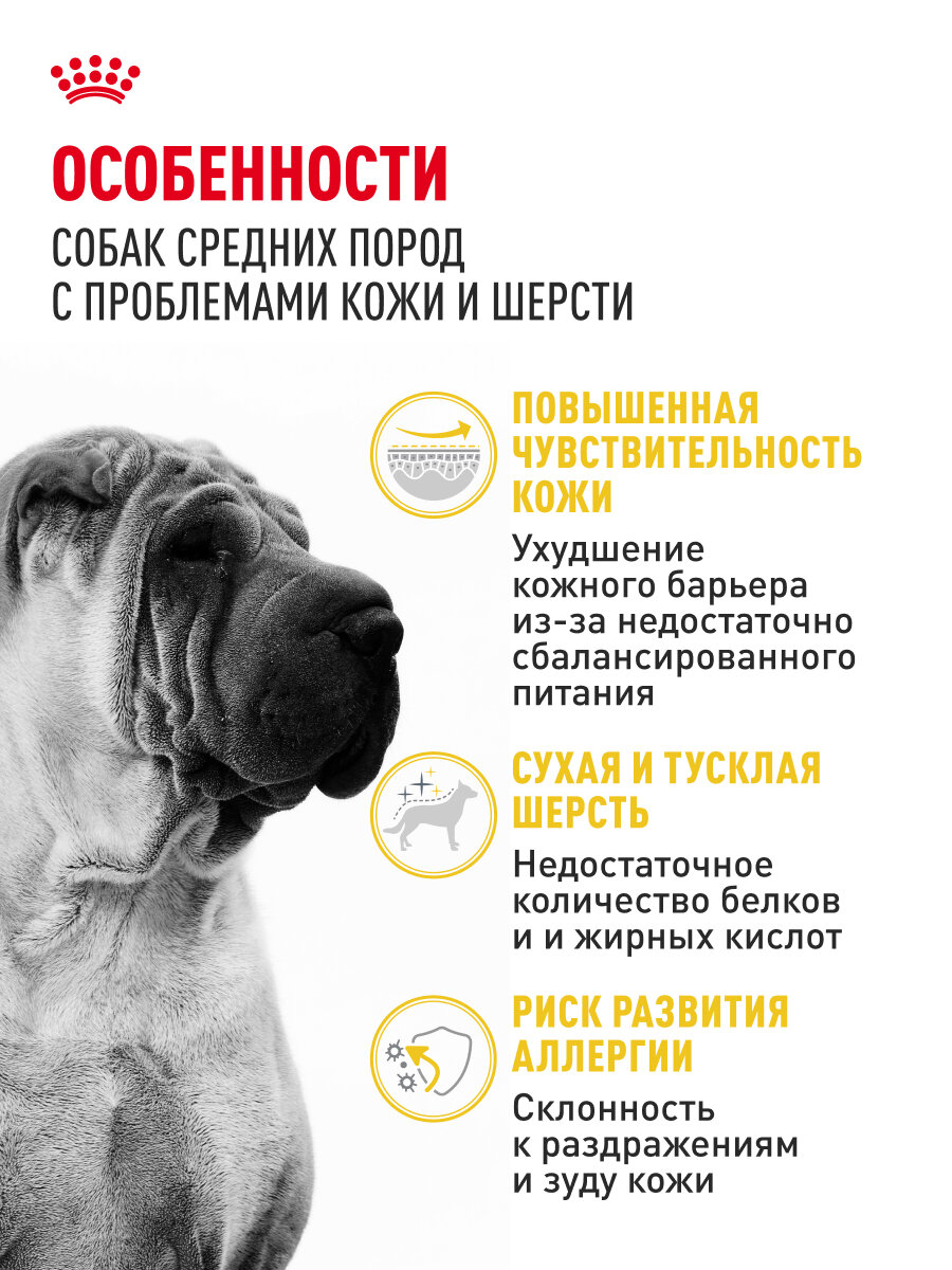 Сухой корм для собак средних пород Royal Canin Medium Dermacomfort при раздражении и зуде кожи, 3 кг — фото 1