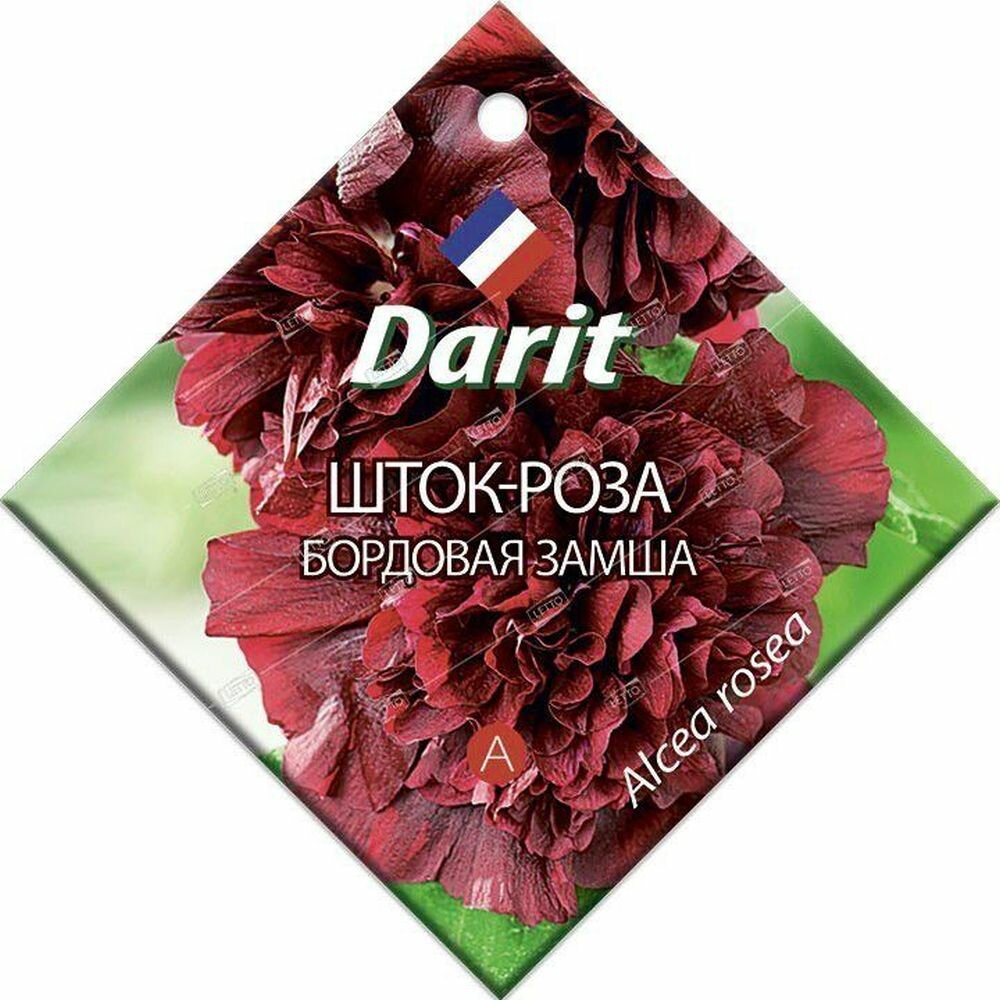 Шток-роза Бордовая замша
