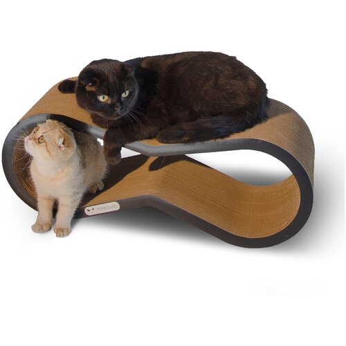 Когтеточка-лежанка, Кот Барон,Айс, Черная