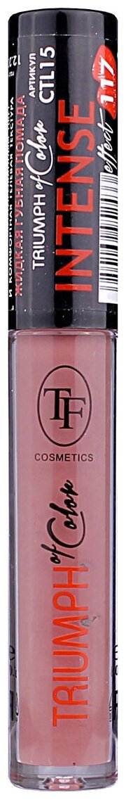 TF Cosmetics жидкая помада для губ Triumph of Colour, оттенок 117