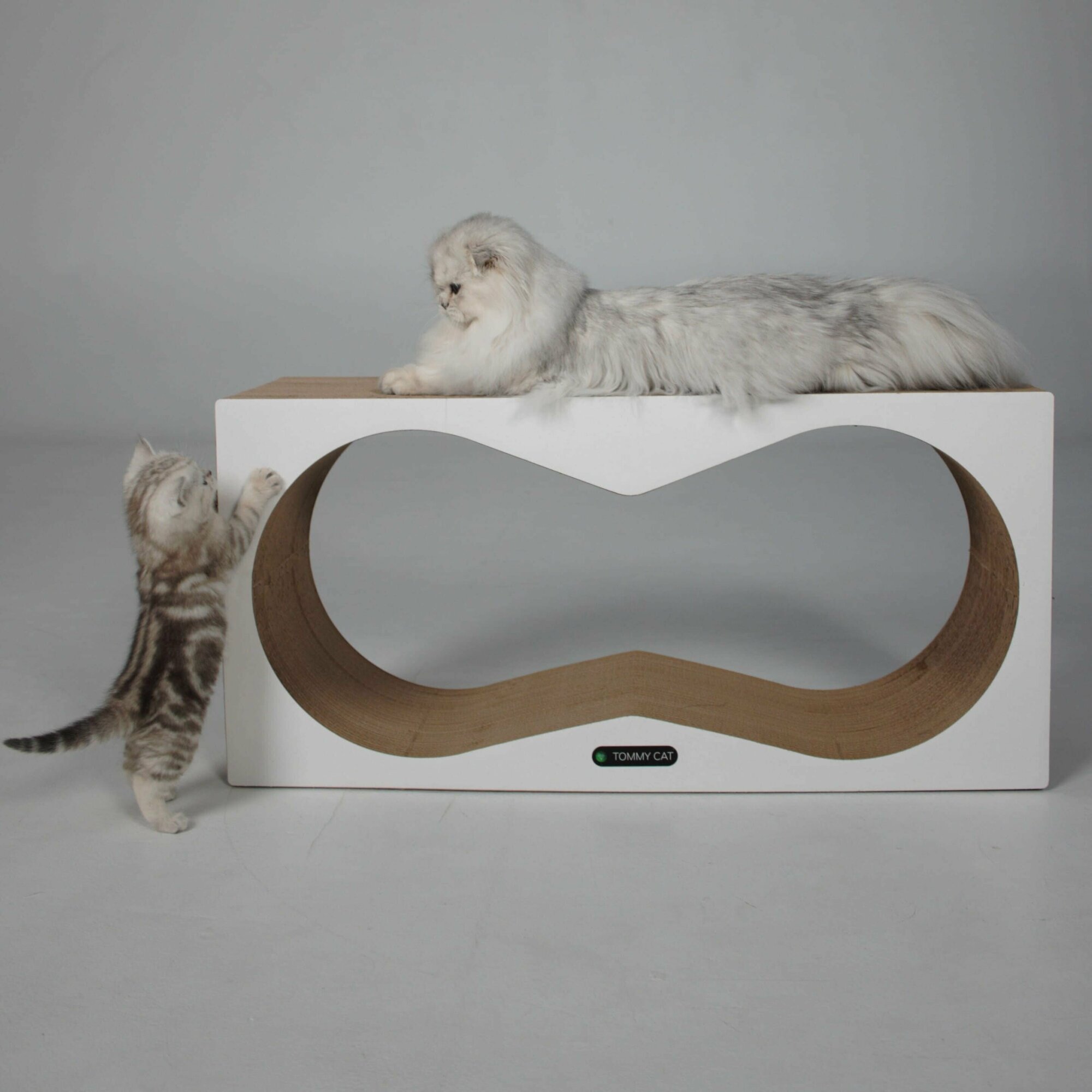 Когтеточка для кошек картонная, лежанка,Tommy Cat, Конвекс белая - фотография № 1