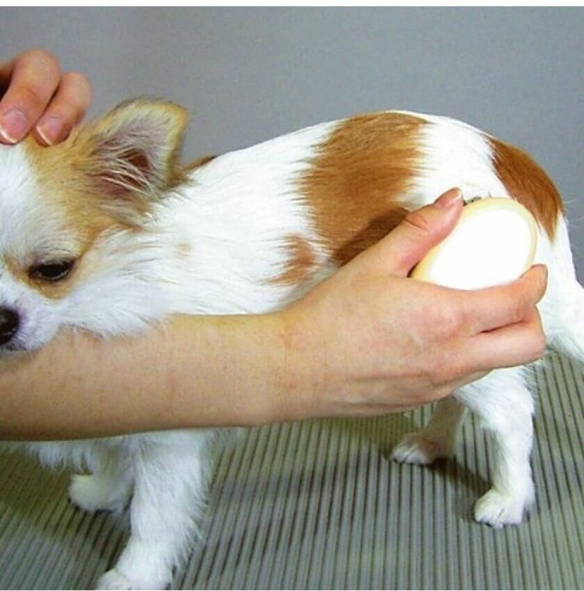 Japan Premium Pet Щетка с натуральной щетиной для блеска шерсти Мини - фотография № 7