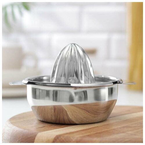 ПК кидс тойз ДВ Соковыжималка для цитрусовых 1485 см нержавеющая сталь 117600₽