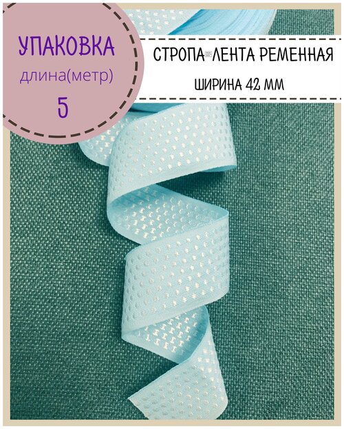 Лента окантовочная/лента ременная/тесьма декоративная/стропа, Ш-42мм, длина 5м, цвет голубой