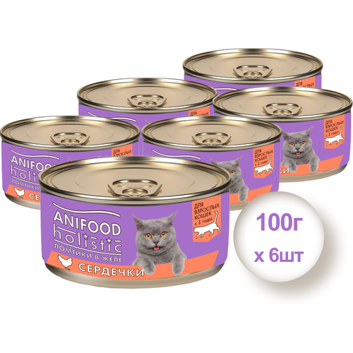 Консервы для кошек Anifood Holistic сердечки ломтики в желе, 100 гр * 6 шт