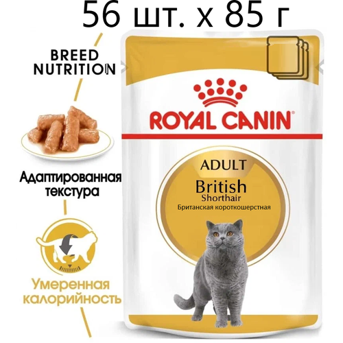 karmy british shorthair adult полнорационный сухой корм для кошек породы британская короткошерстная с индейкой 400 г Влажный корм для кошек Royal Canin British Shorthair Adult, для взрослых кошек породы британская короткошерстная, 56 шт. х 85 г (кусочки в соусе)