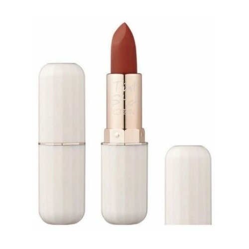 L'ocean Тинт-помада для губ / Reve Tint Stick 5 Runaway, 06 Autumn Burgundy, 3,5 грамм