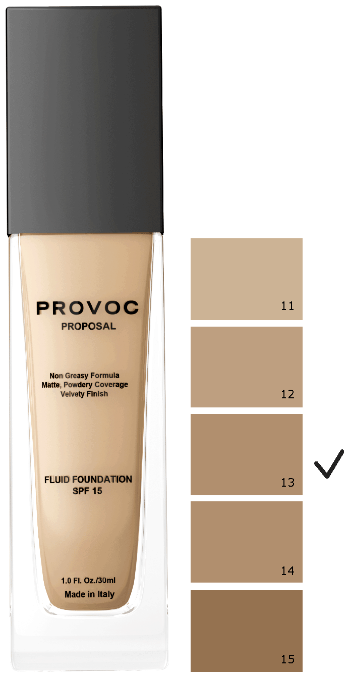 Provoc Proposal Foundation    ,   #13