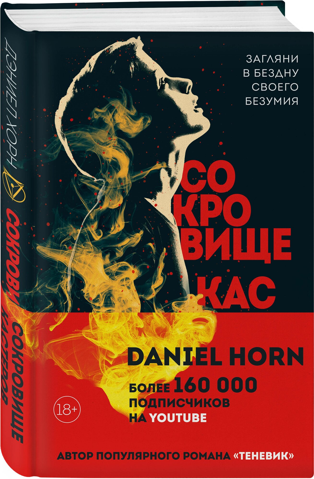 Сокровище Кастеров (Дэниел Хорн) - фото №1