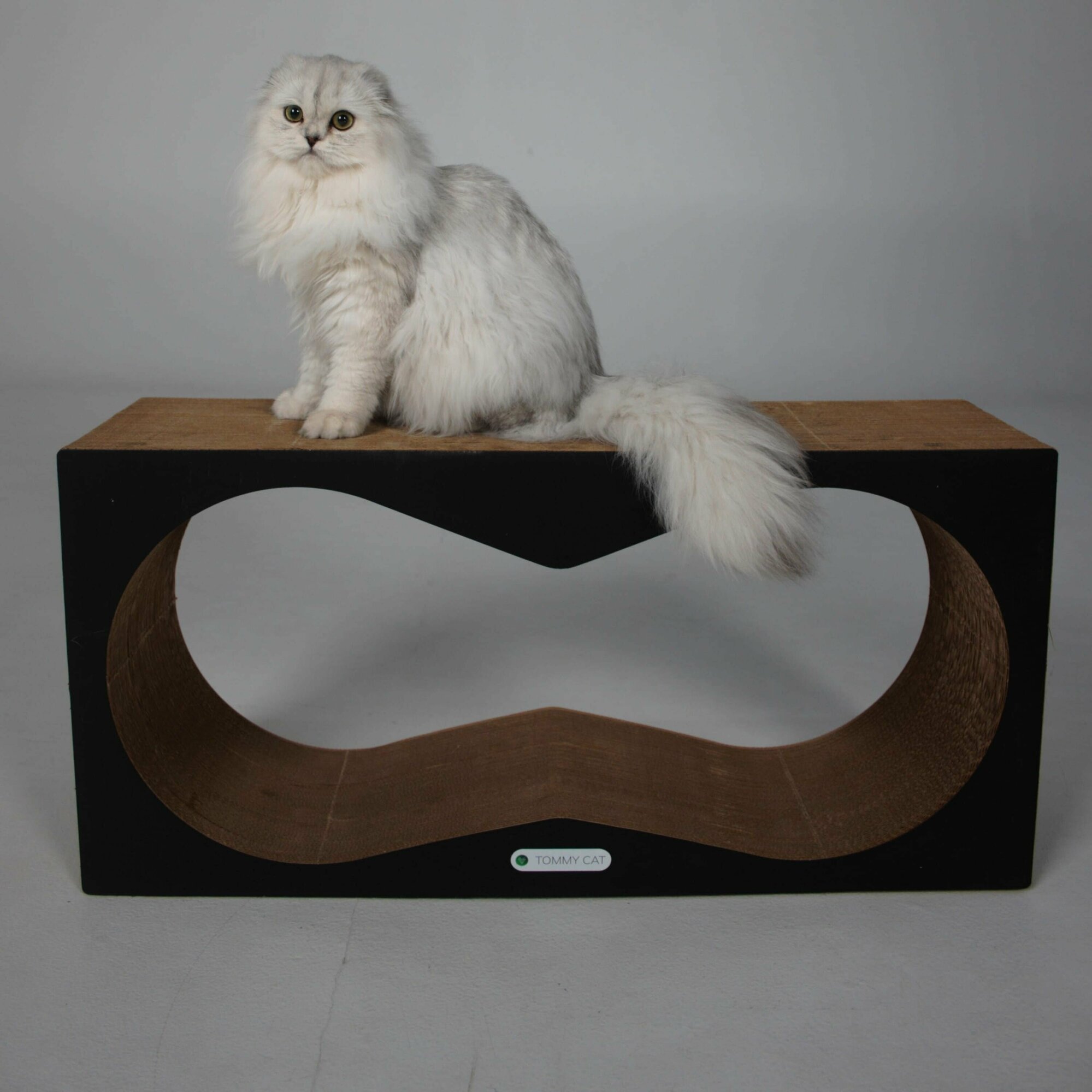 Когтеточка для кошек картонная, лежанка, Tommy Cat, Конвекс черная - фотография № 2