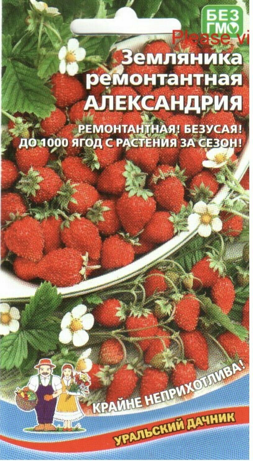 Земляника ремонтантная александрия 1 пакет семена 005г уральский дачник для балкона и подоконника