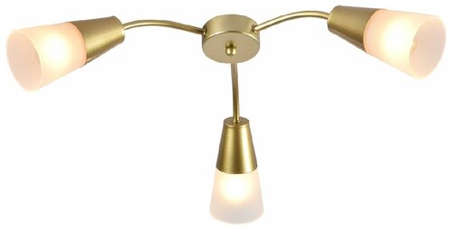 Потолочный светильник Escada Aquilegia 1100/3P Gold