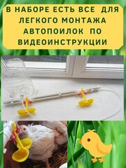 Поилки для птицы