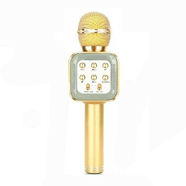 Микрофон-колонка беспроводной (Bluetooth, динамики, USB) WSTER WS-1818