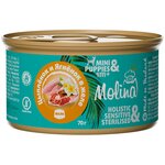 Консервы Molina для собак Цыпленок и Ягненок в желе, 70гр, 2шт - изображение