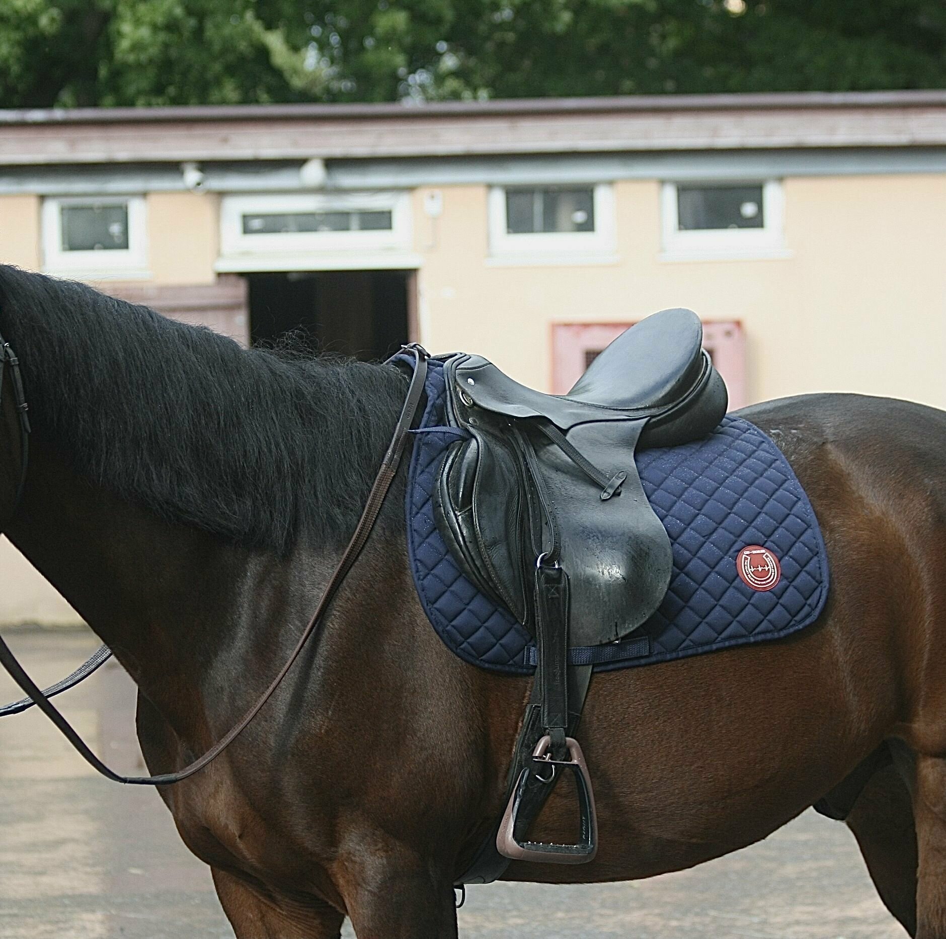 Хлопковый профессиональный конкурный вальтрап для лошади Clort GD • HORSE синий - фотография № 1