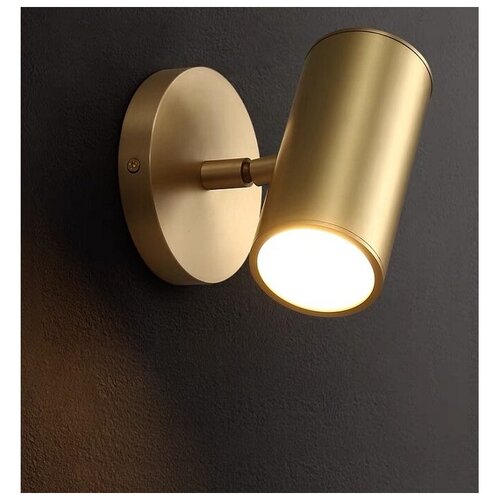 Спот iLamp Plum 8860W BR-BK