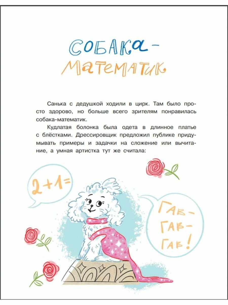 Сто слонов. Новые рассказы о Саньке - фото №7