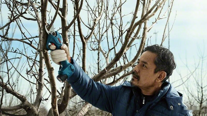 Секатор Bosch Pro Pruner аккумуляторный (06019K1021) - фото №18