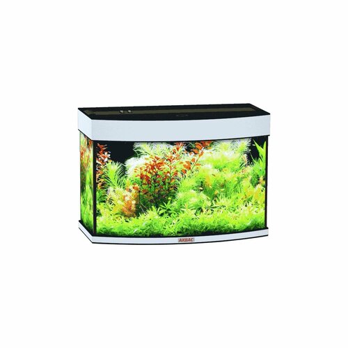 Аквариум панорамный 80 литров с крышкой и освещением 643544 см Аквас 17000₽