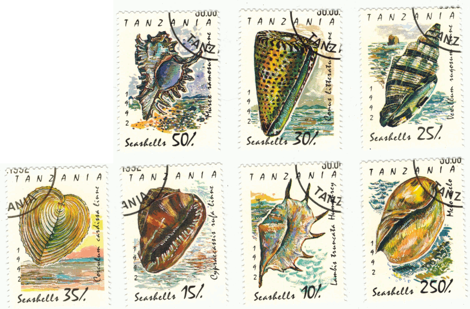 Марка. Танзания. Раковины. 1992 г. Фауна.