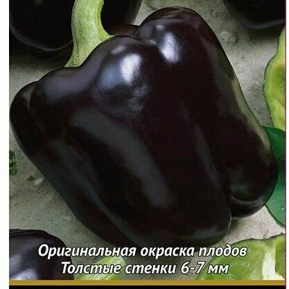 Семена перца сладкого Пумпурный колокол