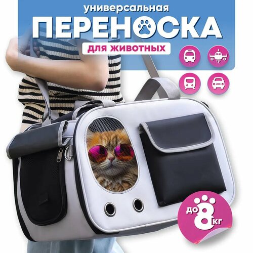 Переноска для кошек и собак мелких пород, сумка для животных