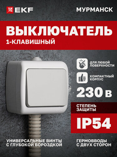 Изображение товара Выключатель одноклавишный накладной EKF 10А, IP54, уличный (под навесом), серый, коллекция Мурманск