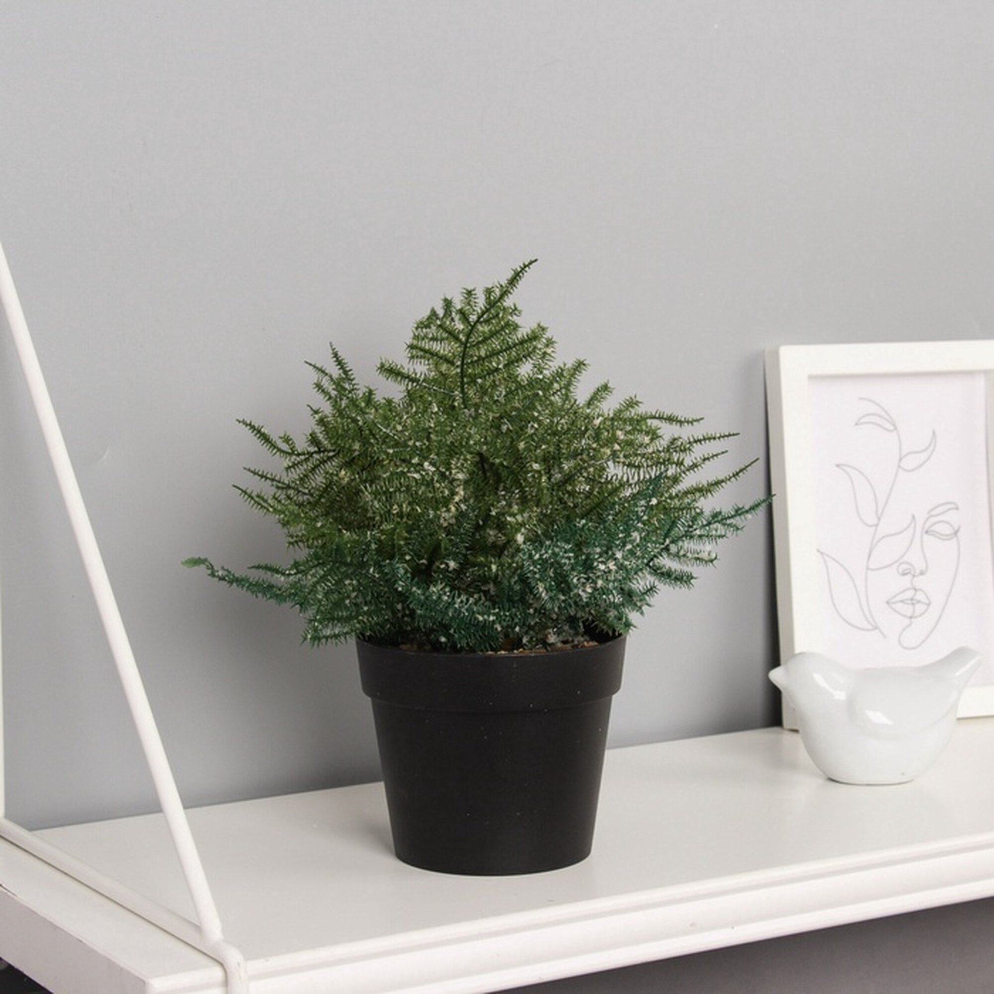 Бонсай Сима-ленд «Нефролепсис галант» в горшке пластик зеленый 20x10 см