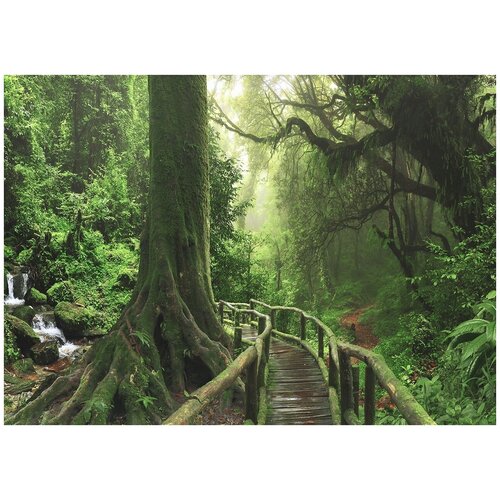 Деревянный мостик в лесу - Виниловые фотообои, (211х150 см)
