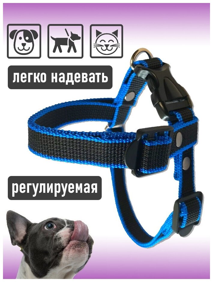 Шлейка для собак Petsare обхват груди 28-40 см, черный синий кант - фотография № 2