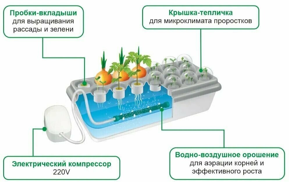 Проращиватель двухмодульный с электрокомпрессором, комплект для рассады, лука, зелени, черенков; домашняя грядка - удобный и эффективный помощник огороднику-любителю и гурману