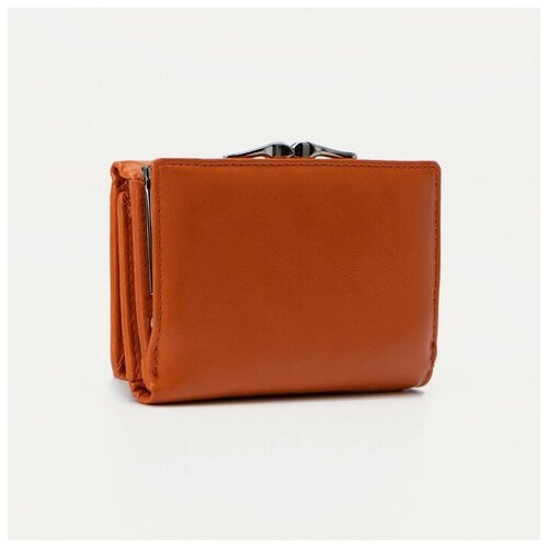 фото Кошелёк на магнитах, цвет оранжевый gorodok