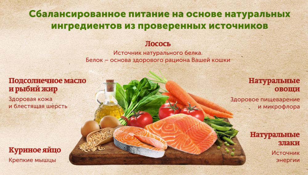 Сухой корм Nature’s Table™ для взрослых кошек, лосось, 190г Nature's Table™ - фото №9