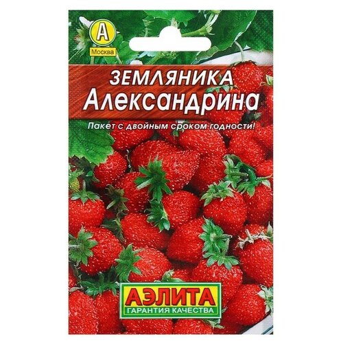 Семена Земляника Александрина, 0,05 г (4 шт) семена земляники 5 упаковок земляника ремонтантная александрина на рассаду для открытого грунта на подоконнике f1