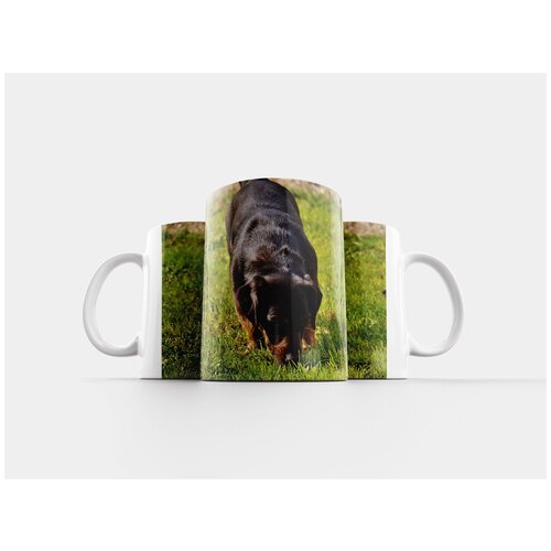 фото Кружка "собака, шерсть, животное" 320 мл lotsprints