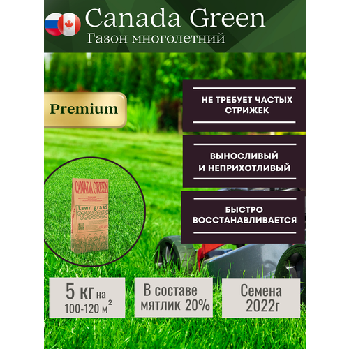 газонная трава семена низкорослый 5 кг canada green premium Газонная трава семена Canada Green PREMIUM( для ленивых) 5 кг
