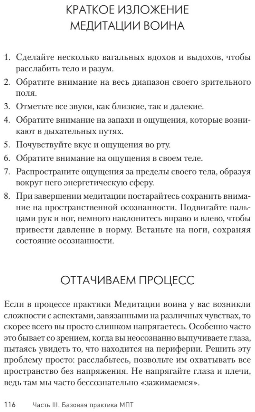 Японский секрет спокойствия (Хайт Ричард Л.) - фото №5