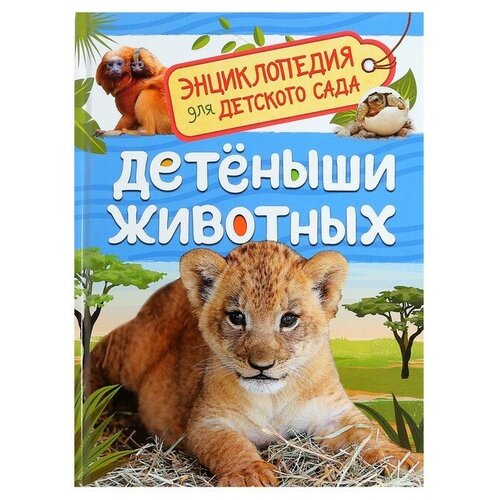 Энциклопедия для детского сада «Детёныши животных». Клюшник Л. В. клюшник л в лесу энциклопедия для детского сада