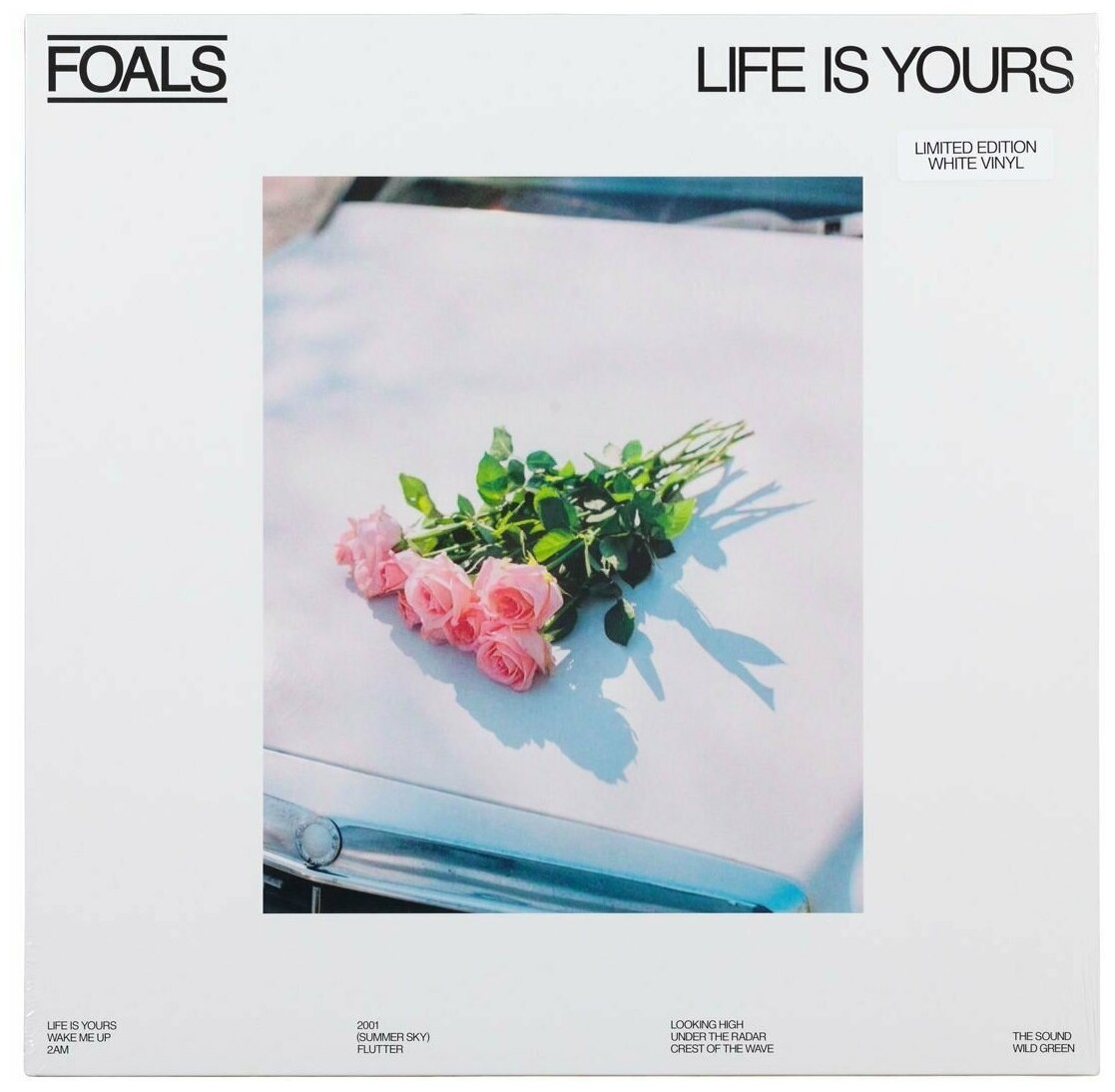 FOALS FOALS - Life Is Yours Мистерия звука - фото №12