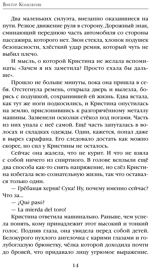 Эль Пунто (Колюжняк Виктор Владимирович) - фото №10