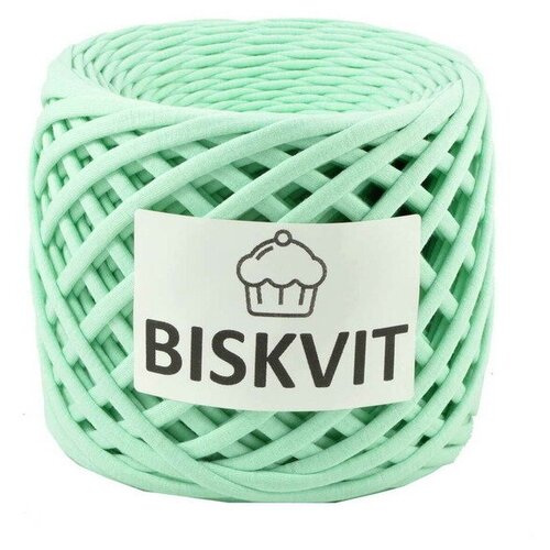 Трикотажная пряжа Biskvit, цвет Тиффани