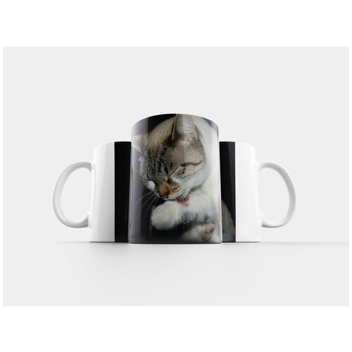 фото Кружка "кошка, кот, киска облако" 320 мл lotsprints