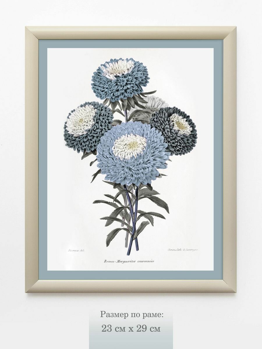 Картина серии "Нежность" на натуральном хлопковом холсте в багетной раме